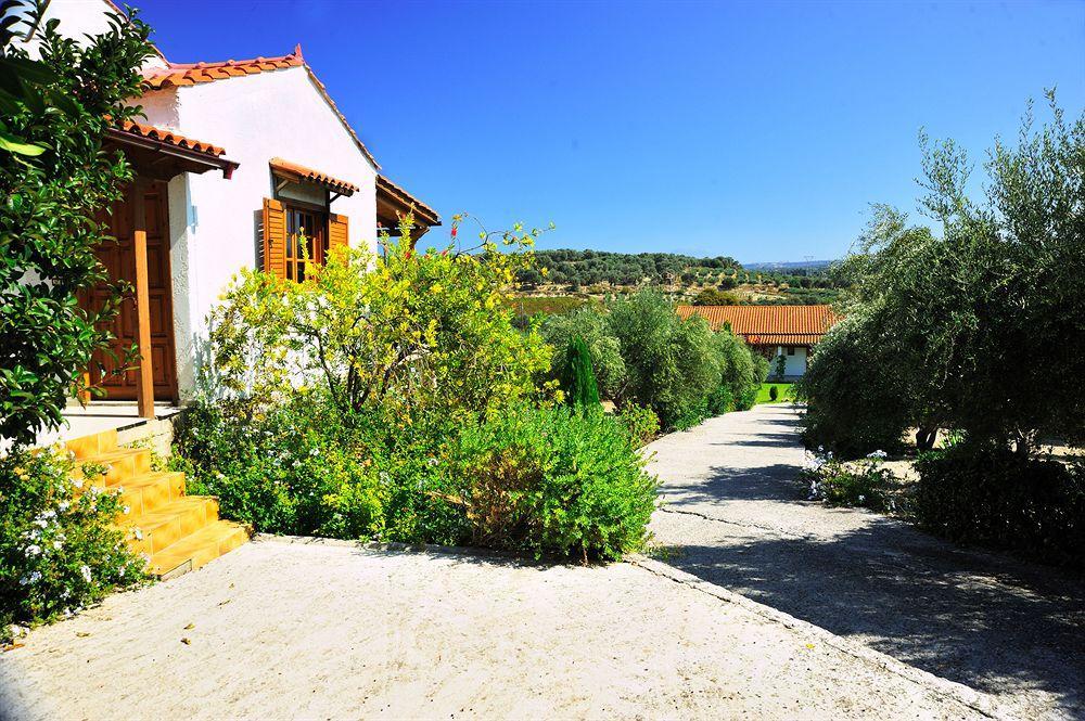 Lefkothea Villas With Large Pool, Bbq & Playground Adelianos Kampos Exterior photo
